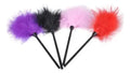 PLUMA EROTICA