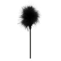 PLUMA EROTICA NICAN